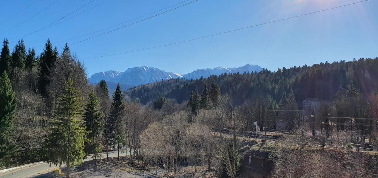Pensiunea Alpin 普雷代亚尔 外观 照片